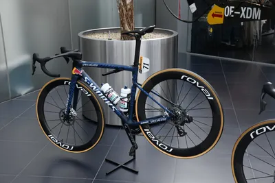 DSC_7078 (Large).JPG